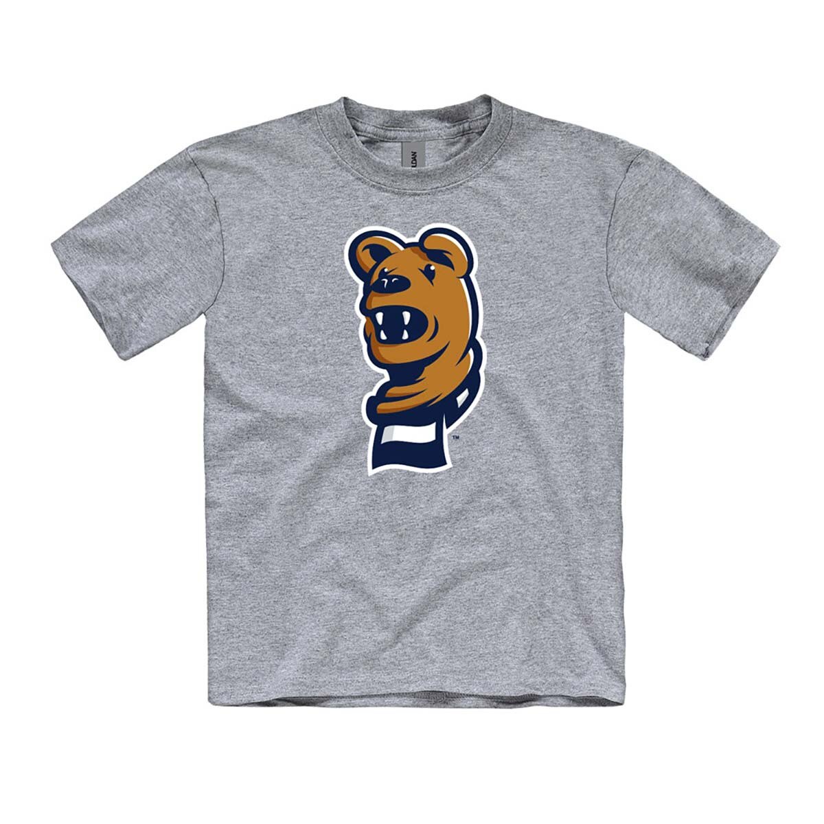 youth Oxford gray short sleeve t-shirt with Penn State Nittany Lion Mascot head